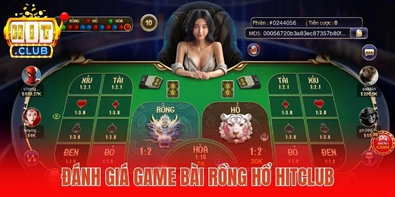 Đánh giá để hiểu hơn về Rồng hổ Hitclub